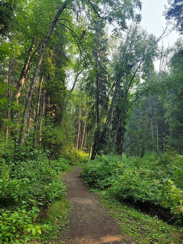 College Heights Trail System - Image 1