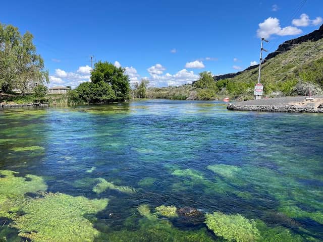 Thousand Springs Preserve - Image 2
