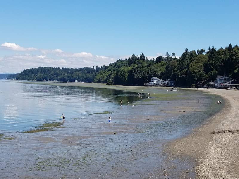 Dash Point State Park - Image 1