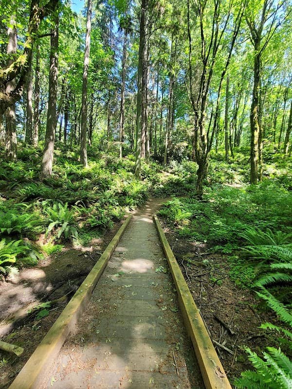 Dash Point State Park - Image 2