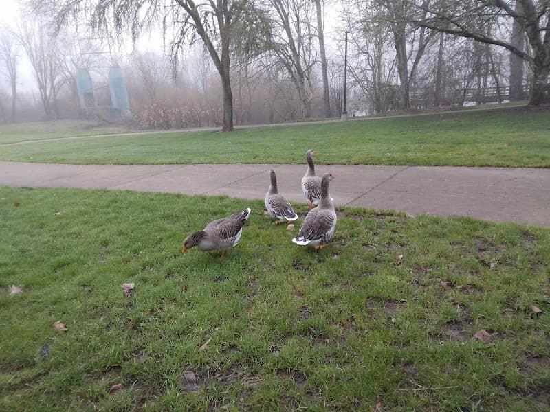 Riverview Heights Park - Image 1