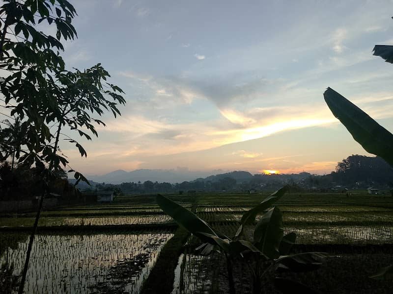 Saung mang emon - Image 1