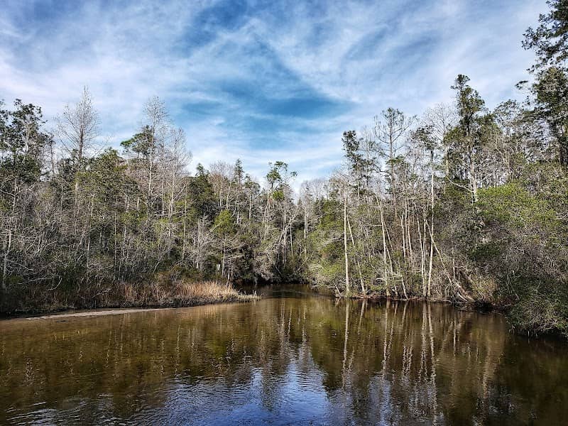 Turkey Creek Park - Image 2