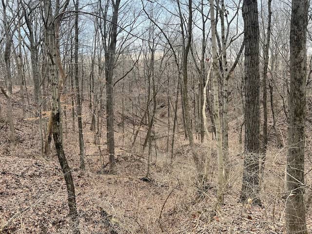 Wright trail - Image 1
