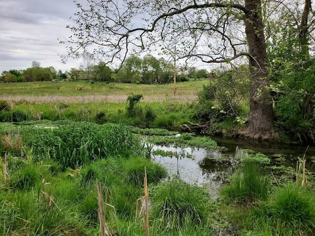 Cool Spring Preserve - Image 2