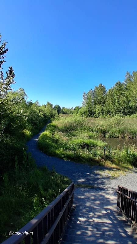 Frog Rock Pond - Image 3