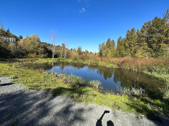 Frog Rock Pond - Image 1