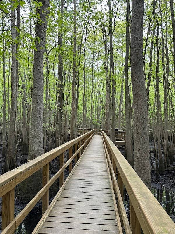 Blackwater Park - Image 1