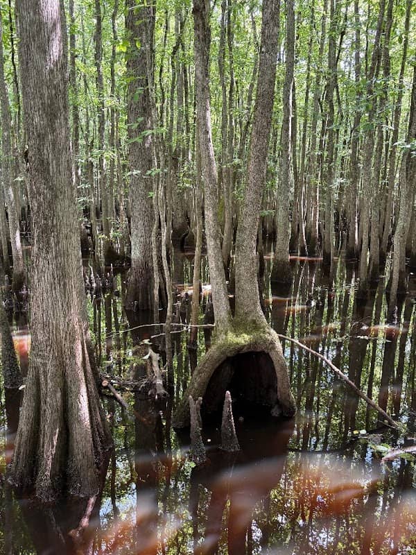 Blackwater Park - Image 2