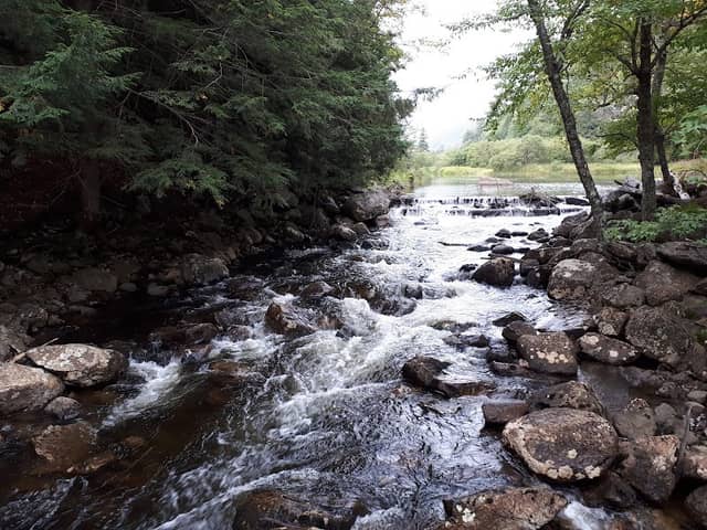 Beaver Meadow Falls - Image 2
