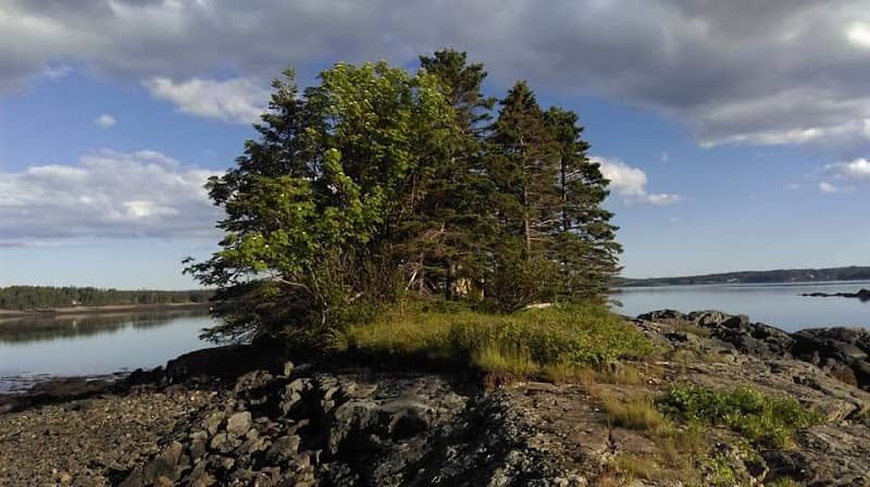 Sumac Island - Image 1