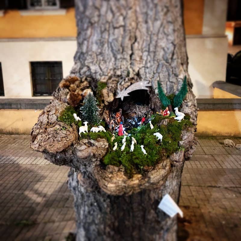 Presepe nell’albero - Image 1