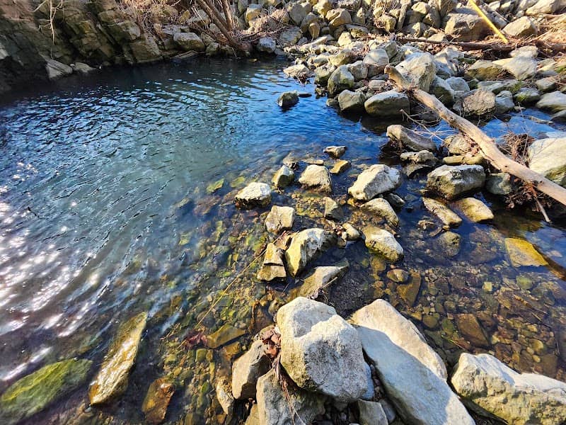 Farrington Reserve Waterfall - Image 2