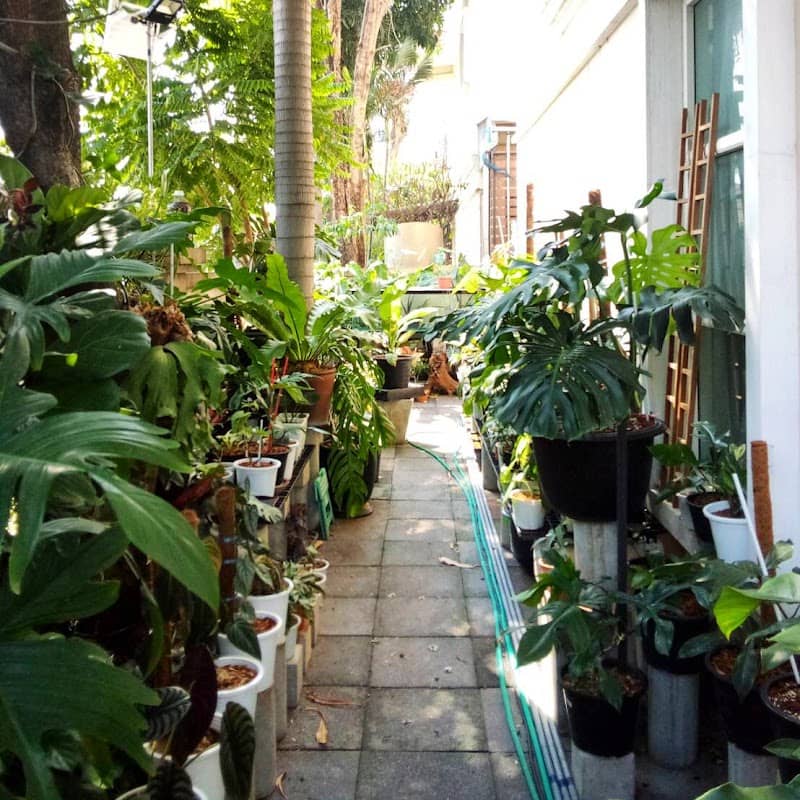 Garden at love - Image 2