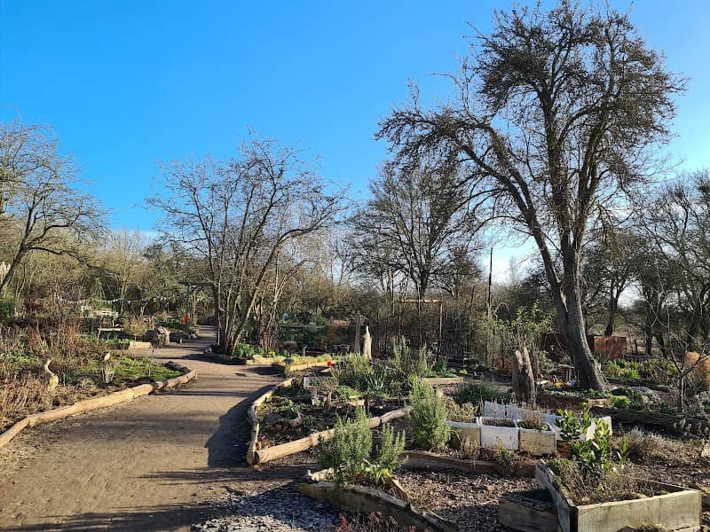Langdon Nature Reserve Community Garden - Image 2