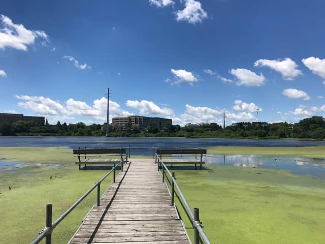 Smetana Lake Park - Image 1
