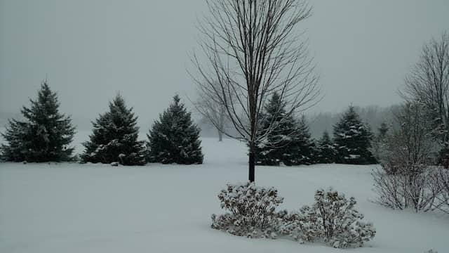 Pendleton Field - Image 2