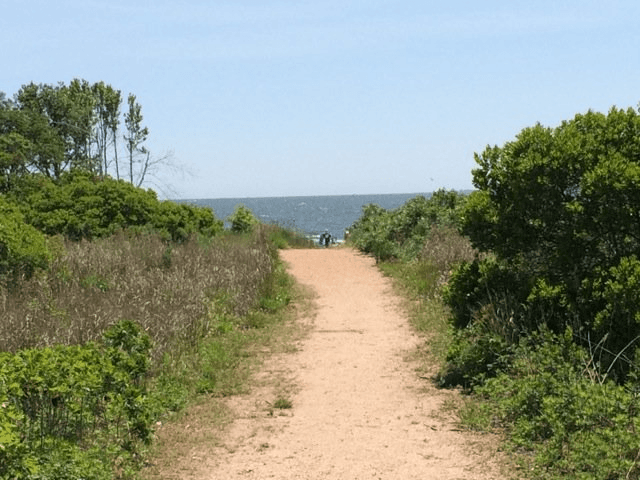 Great Kills Park - Image 4