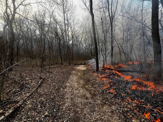 Big Buffalo Creek Conservation Area - Image 1