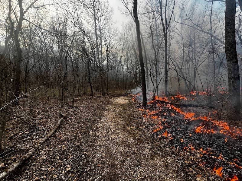 Big Buffalo Creek Conservation Area - Image 1