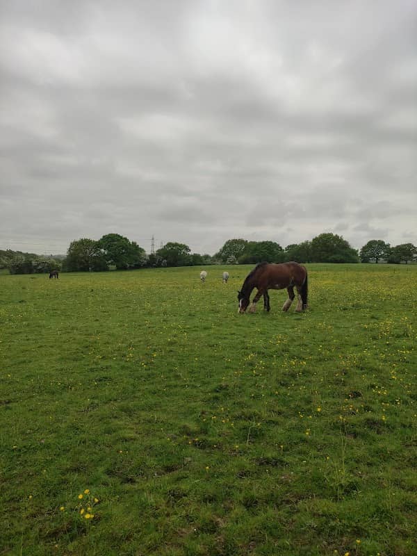 Biddulph Valley Way - Image 1