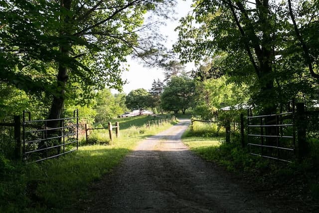 Forest Farms - Image 2