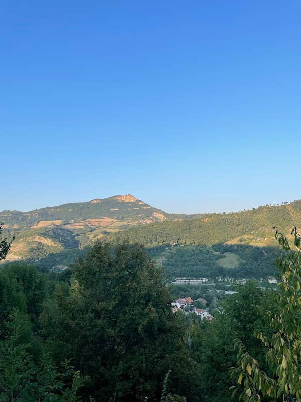 Allocco - Image 2