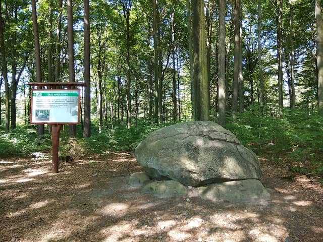 Park Lipno - Image 1