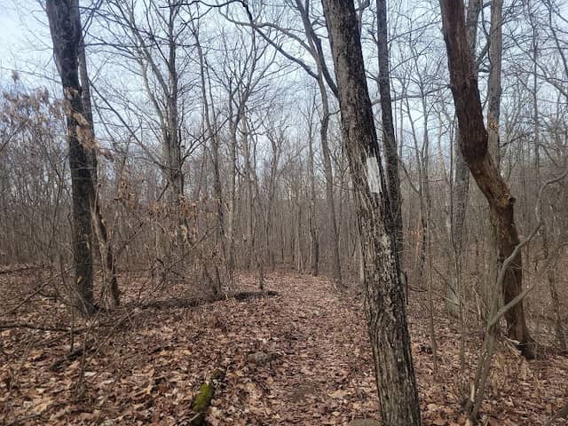 Appalachian Trail - Image 1