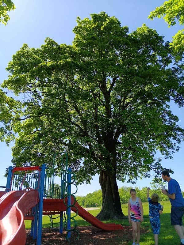 W.T. Vernon Park - Image 2