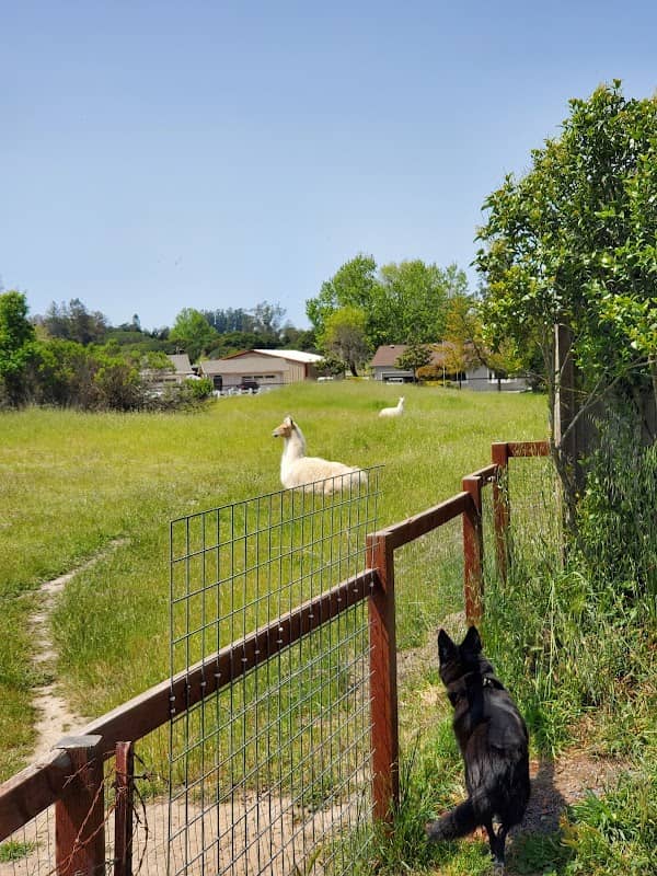 Laguna de Santa Rosa Trail - Trail S - Image 2