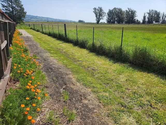 Laguna de Santa Rosa Trail - Trail S - Image 1