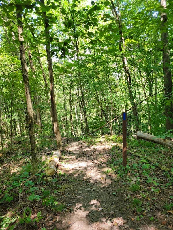 North Country Trail (Hodgson Rd) - Image 1