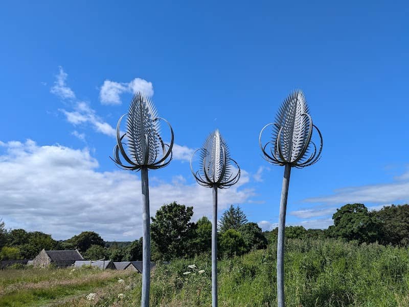 Muiravonside Country Park - Image 1