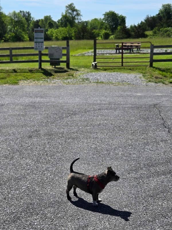 Countywide Park - Image 1