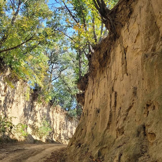 Hastie Hollow - Image 1