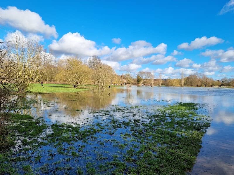 Bocking Blackwater Nature Reserve - Image 1
