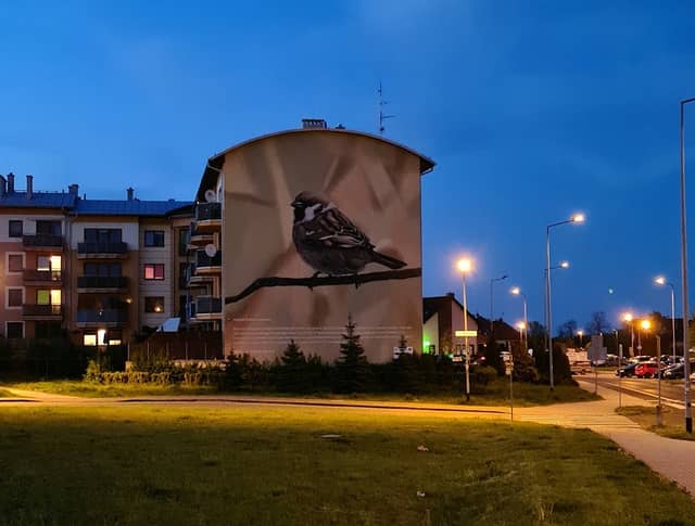 Sparrow Mural - Image 2