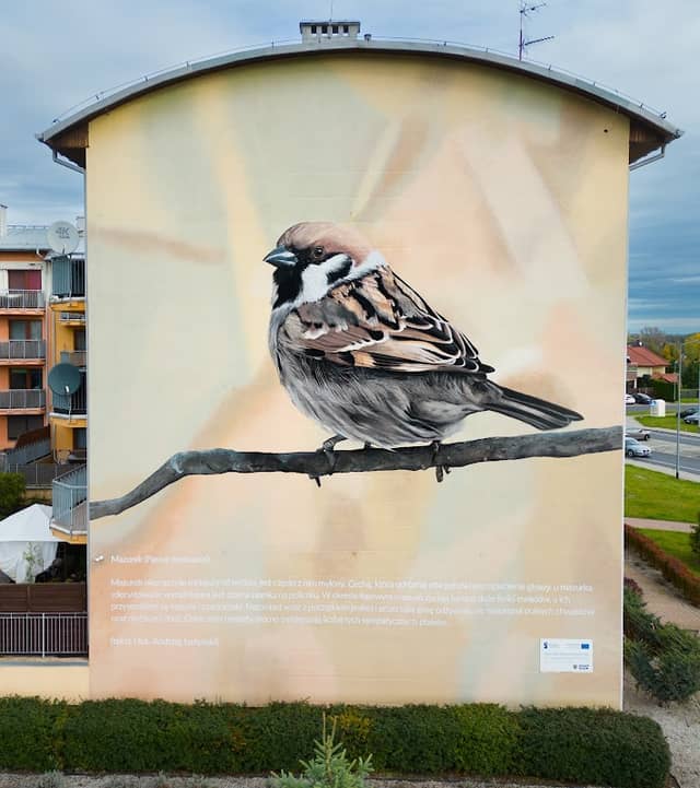 Sparrow Mural - Image 1
