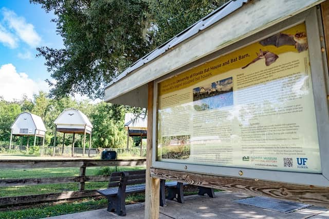 UF Bat Houses - Image 2