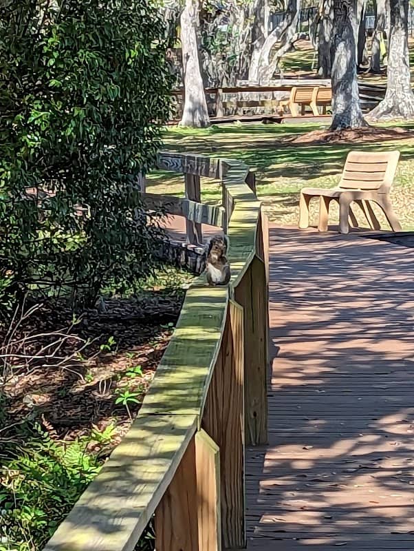 Scout Park - Image 2