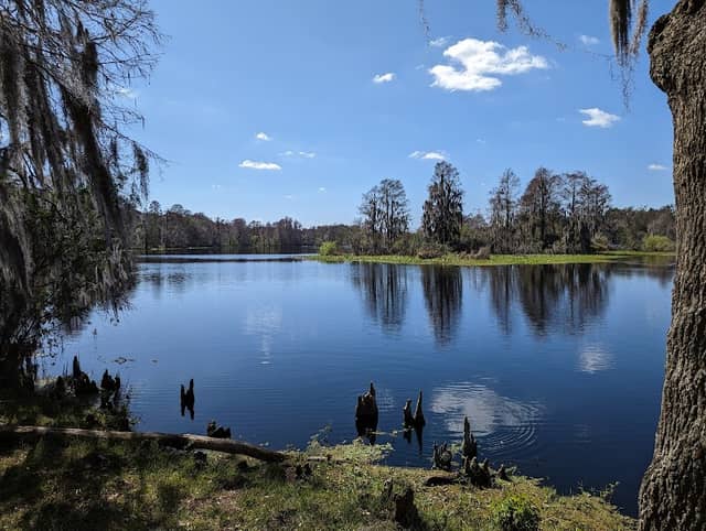 Scout Park - Image 1