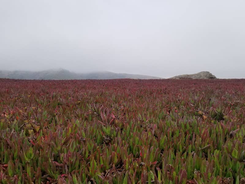 Duncans Point - Image 3