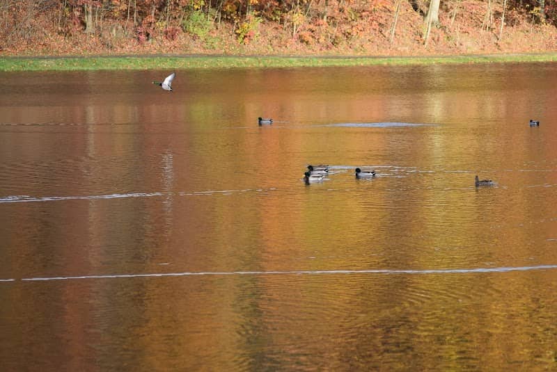 Holtzhauer Lake - Image 1