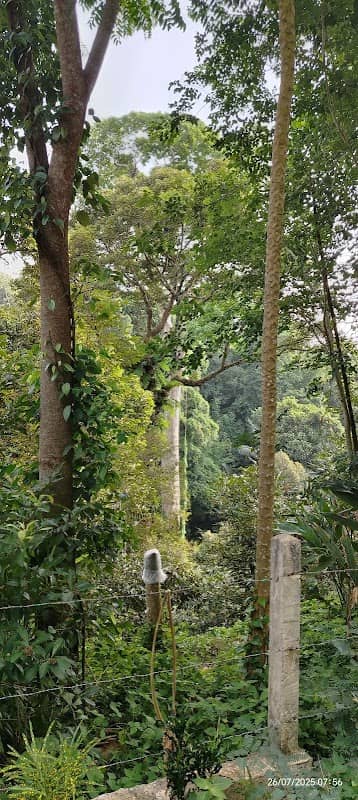 Banpon Viewpoint - Image 2
