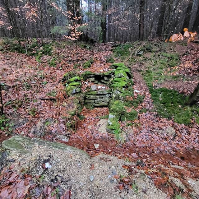 Leśne źródełko - Image 1