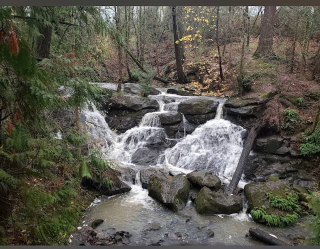Cedar Mill Falls - Image 2