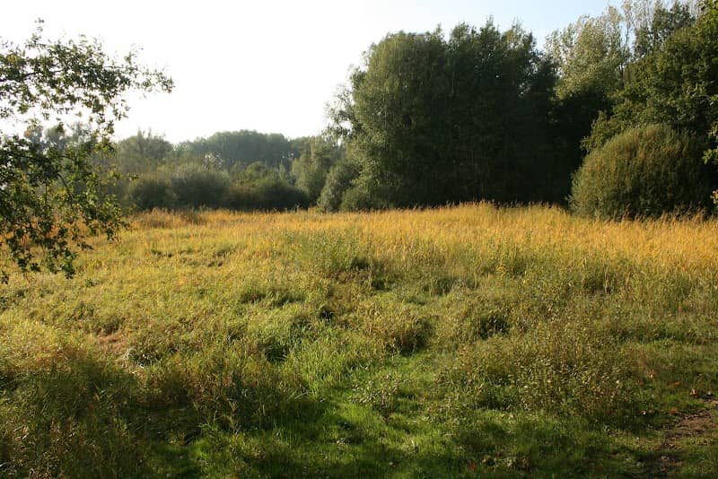 De Doort - Image 1