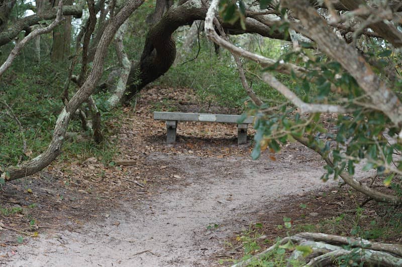 Springer's Point Preserve - Image 3
