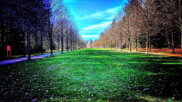 Clemenswerther Park - Image 2